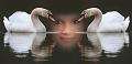 Tears of a girl - Van Thienen Rob
